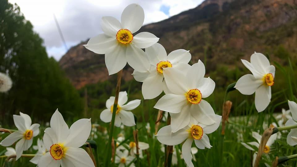 Bpirineos-Las Plazas Benasque Zewnętrze zdjęcie